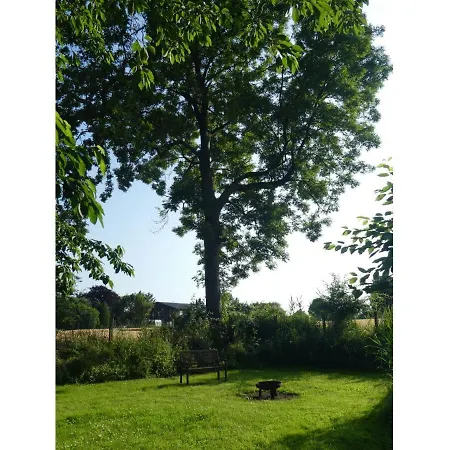 Rosenkate * Stoltebüll