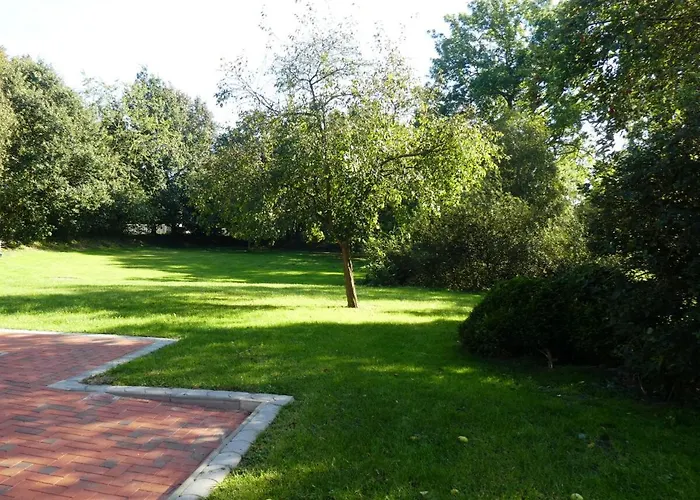 Rosenkate 斯托特布尔